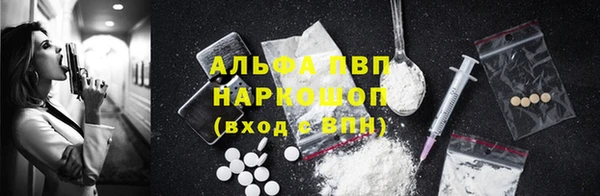 индика Хадыженск