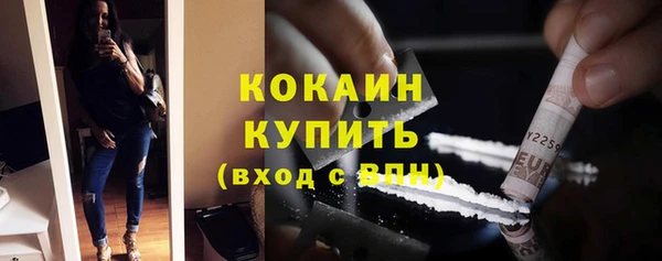 индика Хадыженск