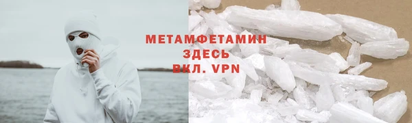 сатива Коряжма