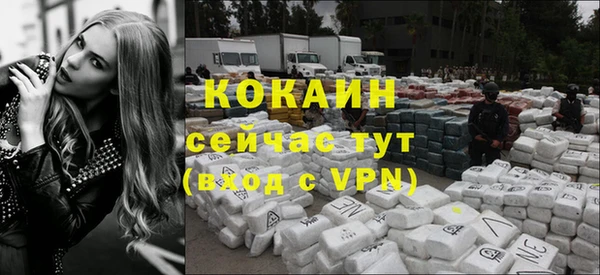 индика Хадыженск
