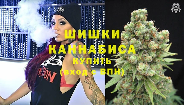 индика Хадыженск